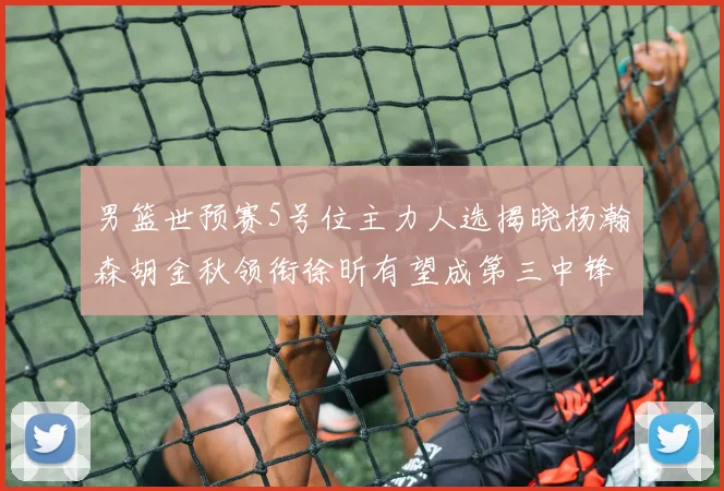 男篮世预赛5号位主力人选揭晓杨瀚森胡金秋领衔徐昕有望成第三中锋