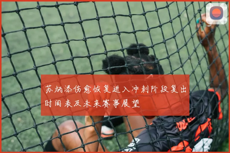 苏炳添伤愈恢复进入冲刺阶段复出时间表及未来赛事展望